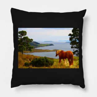 Horse in Tighnabruaich Pillow