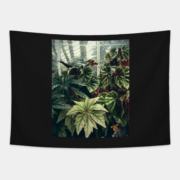 Beautiful Begonias Tapestry by oliviastclaire