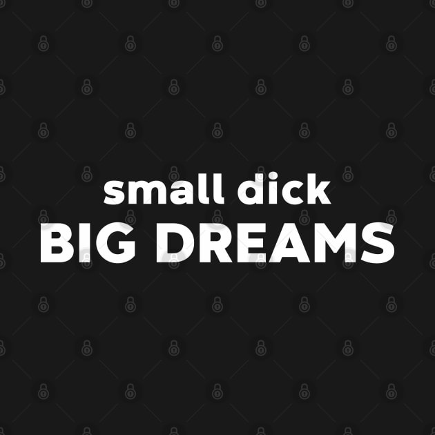 Small Dick Big Dreams Funny (White) by DLEVO