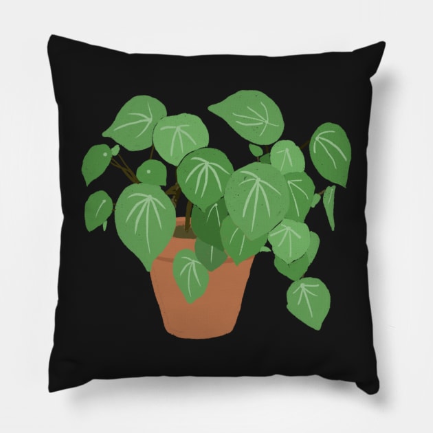 Peperomia Argyreia Watermelon Plant Pillow by gronly