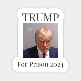 Trump For Prison 2024 Magnet