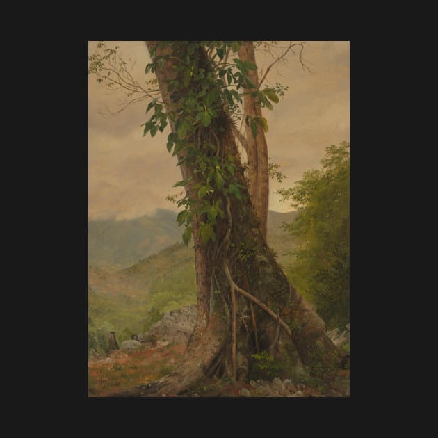 Tree with Vines, Jamaica, West Indies by Frederic Edwin Church by Classic Art Stall