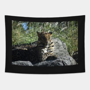 African Leopard Tapestry
