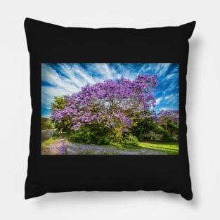 Jacaranda on Roghan Rd Pillow