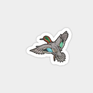 Green Winged Teal Magnet