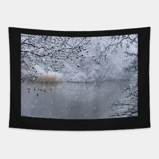 Snowy duck pond - Hampden Park, Eastbourne Tapestry