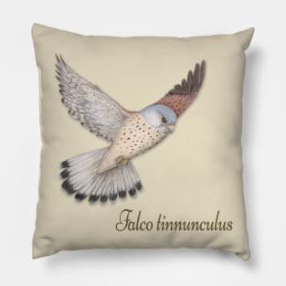 Flying Kestrel illustration Pillow