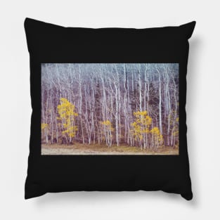 Aspens Late Autumn Pillow