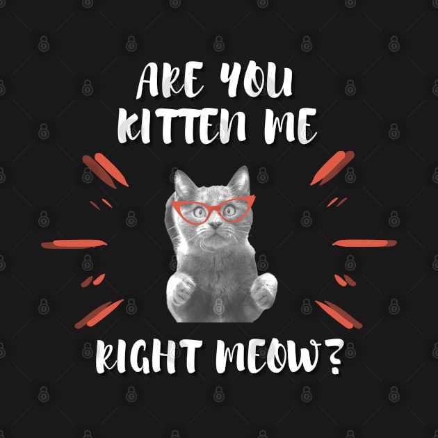 Are you Kitten Me Right Neow by Dawah Giraffe