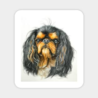 King Charles Spaniel Portrait Magnet