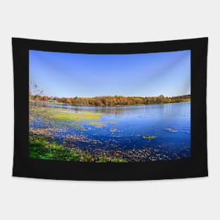 Autumn at the lake Tapestry