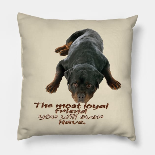 Rottweiler the boss dog Pillow by TeeText