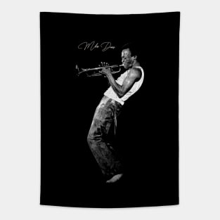 Miles Davis Tapestry