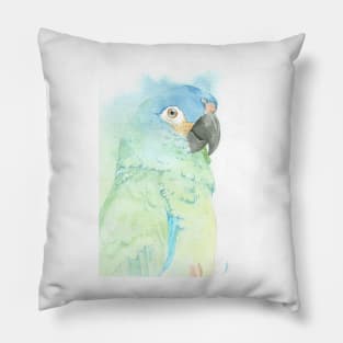 blue-winged macaw parrot portrait watercolor painting tropical pet Pillow