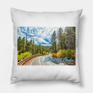 The Enchanted Circle Pillow