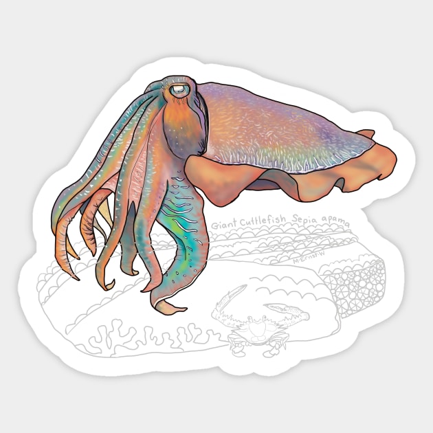 Cuttlefish Doodle-dark background - Cuttlefish - Sticker | TeePublic