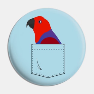 Eclectus Parrot Female In Your Front Pocket Pin