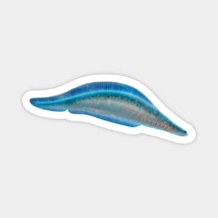 Haikouichthys from Cambrian, original artwork Magnet