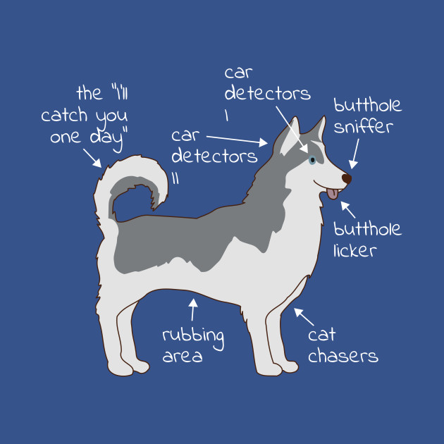 Discover Husky Dog Anatomy - Husky - T-Shirt