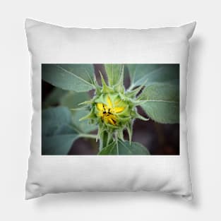 Sunflower Bud Pillow