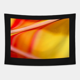 Orange and Yellow Oil and Water Tapestry