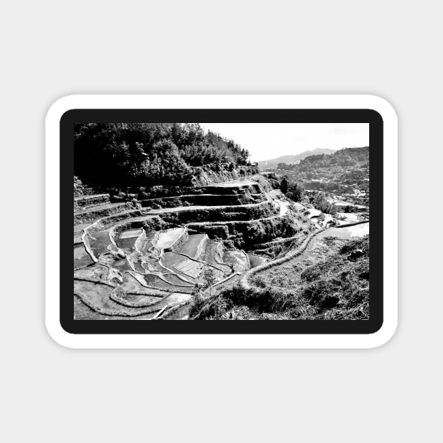 Rizières en terrasse de Banaue, Philippines Magnet by franck380