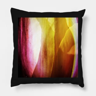 Tender tulip petals | Abstract Pillow