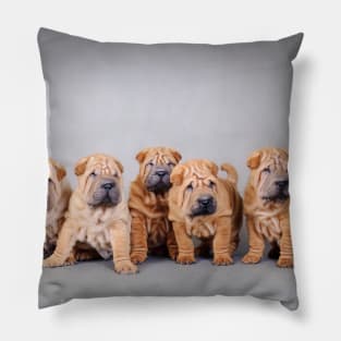 Chinese Shar pei puppies portrait Pillow