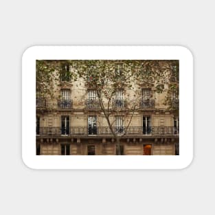 Parisian Building Facades - 5 © Magnet