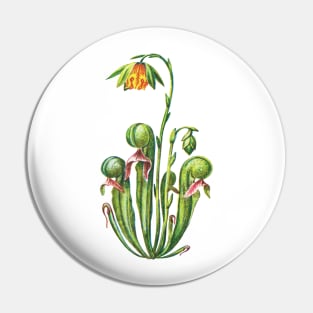 Kopie von Cobra Lily Darlingtonia Californica Apparel Botanical Drawing Pitcher Plant Pin