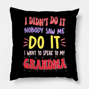 I Didn't Do It Nobody Saw Me I Want To Speak To My Grandma Pillow