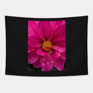 The Real Revolution Will Be Love: Be Like the Fiery Magenta Dahlia Flower Tapestry