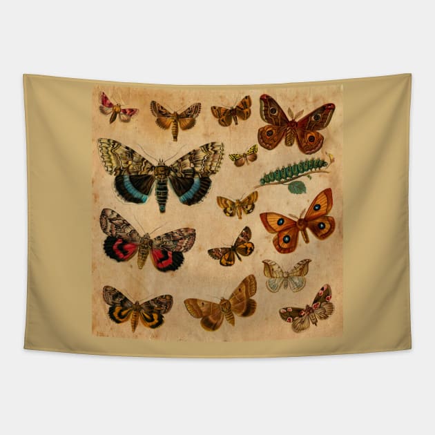 Watercolour Butterflies Tapestry by My Artsam