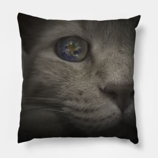 Cat's Eye World Pillow