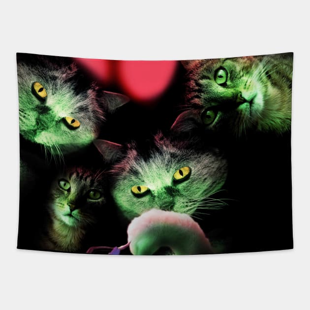 UFO Cats Alien Kitten Cat Abduction Space Galaxy Funny Tapestry by Random Galaxy