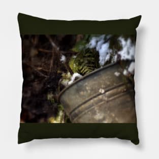 tin bucket in a snowy Oregon forest Pillow