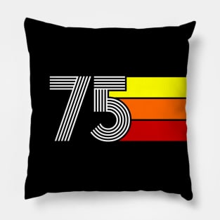 Retro 1975 Styleuniversal Pillow