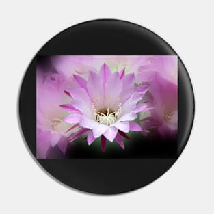 Pink Cactus Flower in the Rain #2 Pin