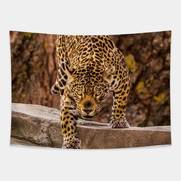 Jaguar Tapestry by mega281