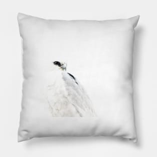 The Beauty of a Mississippi Kite Pillow