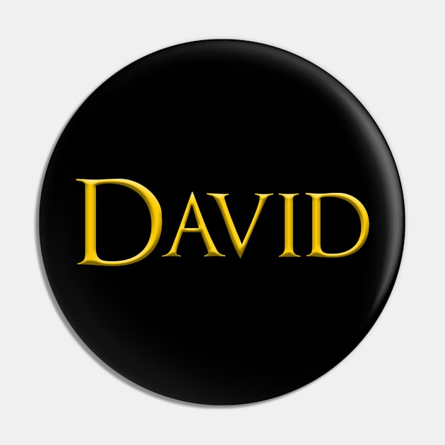 David Male Name Gold On Dark Pin by funfun