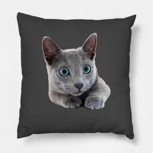 Russian Blue Cat Kitten Blue eyes Pillow