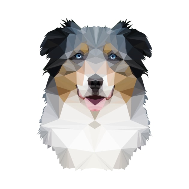 Australian Shepherd by arlingjd