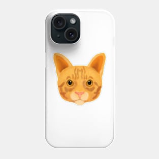 Ginger cat Phone Case