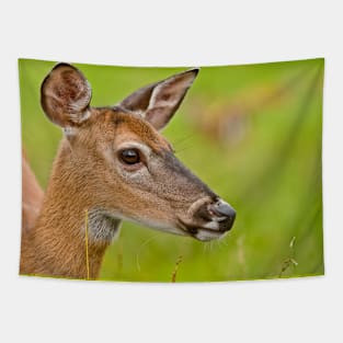 White-tailed Deer Tapestry