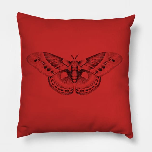 Moth Pillow by lesleyrink