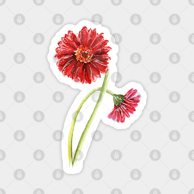 Red gerberas Magnet by feafox92