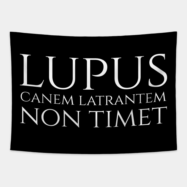 lupus non timet canem latrantem - a wolf is not afraid of a barking dog - Latin quote Tapestry by Styr Designs