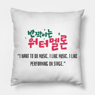 Twinkling Watermelon Korean Drama Pillow