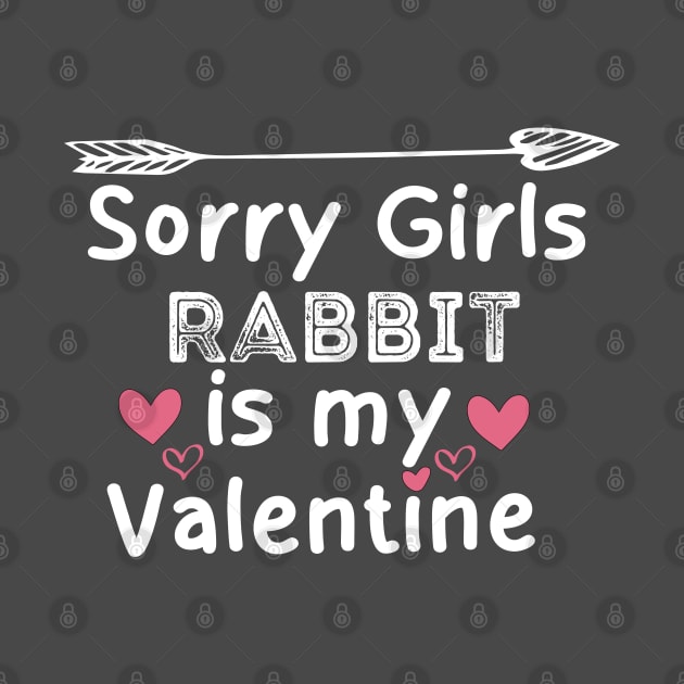 sorry girls rabbit my  valentine by boufart